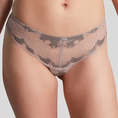 sheer lace hipster panties for womenPanache Clara Brief - Opal Grey